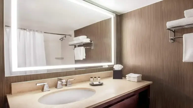 Sheraton Tampa Riverwalk Hotel