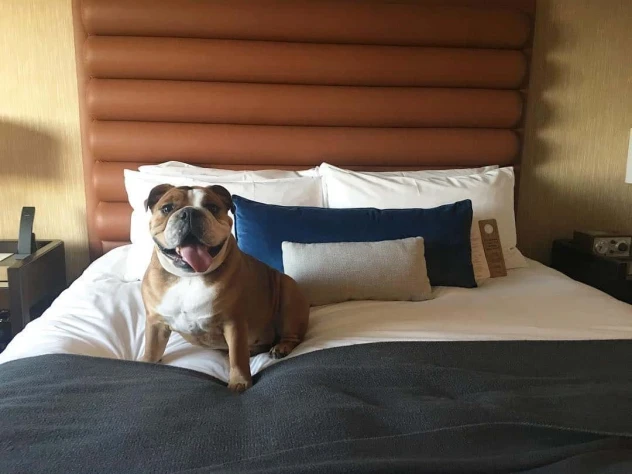 Dossier Hotel Portland Oregon