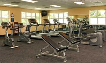 Sheraton Vistana Resort and Villas Orlando Florida