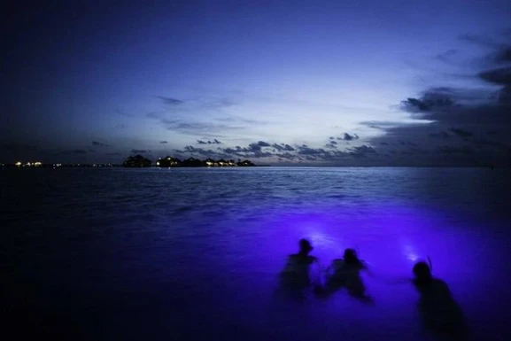 Gili Lankanfushi Maldives