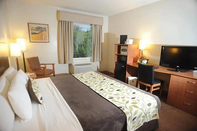 Paseo Las Damas San Jose Paseo Las Damas San Jose