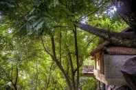 Le Domaine de L'Orangeraie op de Seychellen