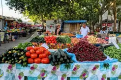 Split Local Mediterranean Food Tasting Tour Split Local Mediterranean Food Tasting Tour
