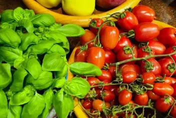 Split Local Mediterranean Food Tasting Tour