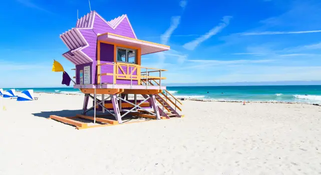 Trans Miami: Bars, Community & Resources