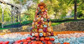 Harvest Festival at Dollywood