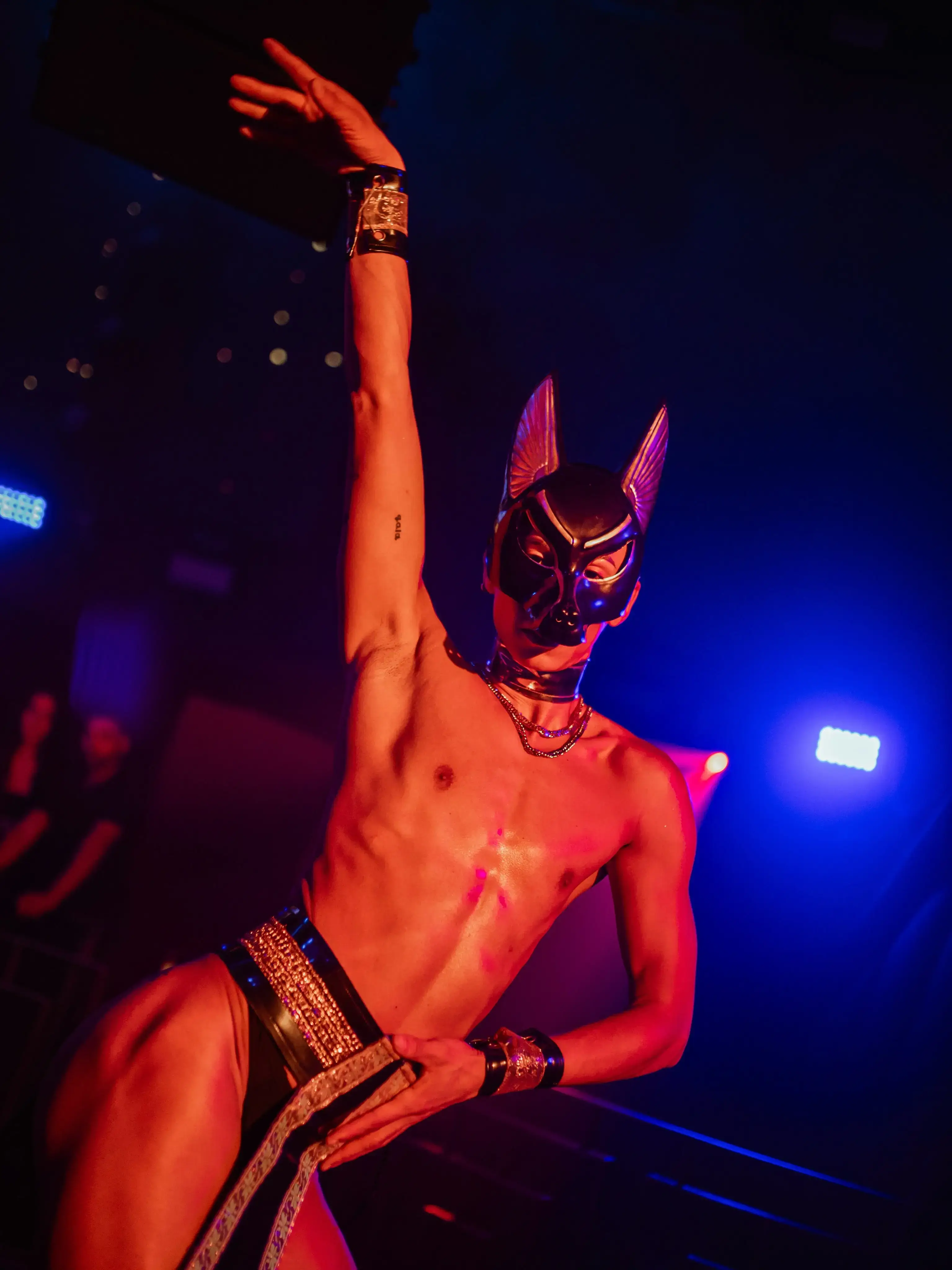 La TROYA, Ibiza - gay dance party