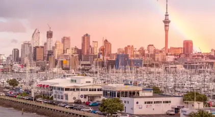 Best Gay Cruising Areas in Auckland