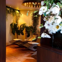 Phoenix Sauna
