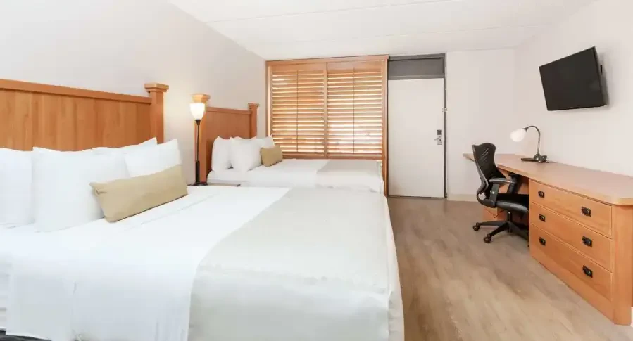 Wyndham Garden Austin Hotel Texas