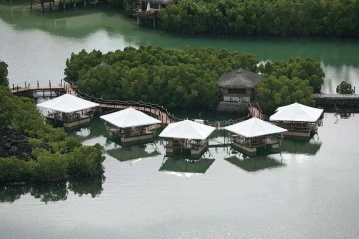 Constance Prince Maurice