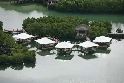 Constance Prince Maurice