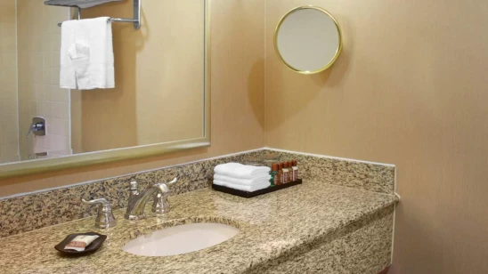 Sheraton Houston Brookhollow Hotel Texas