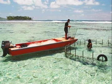 Hotel Hibiscus French Polynesia