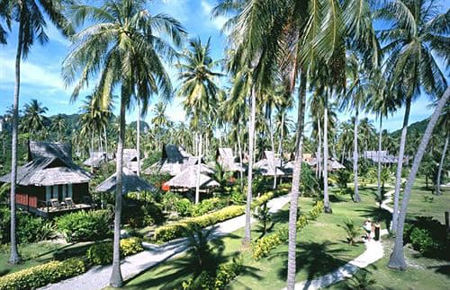 Kampung Pulau SAii Phi Phi