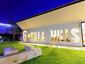 Hotel Gorilla Hills Huahin