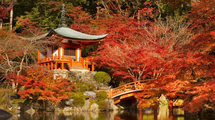 all hotels in Kyoto
