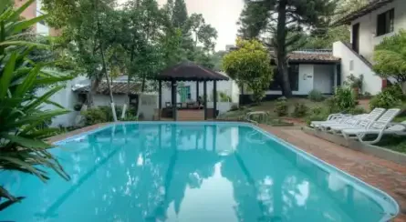 Ayenda 1257 Premium Real