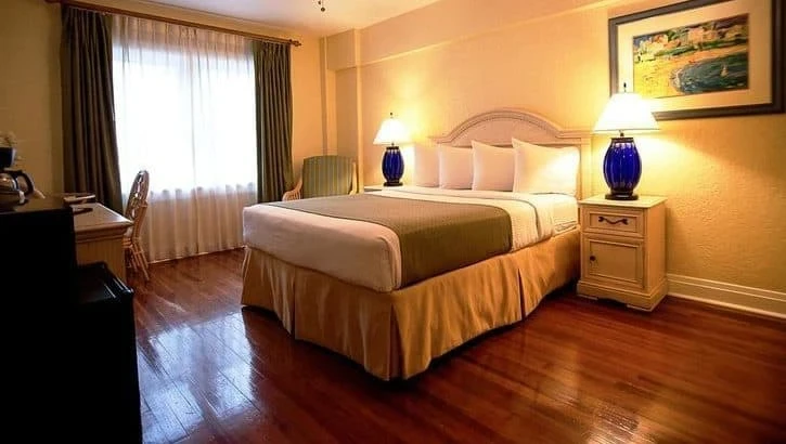 Hollander Hotel St Petersburg Downtown Florida Hollander Hotel St Petersburg Downtown Florida