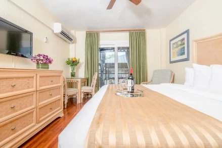 Hollander Hotel St Petersburg Downtown Florida