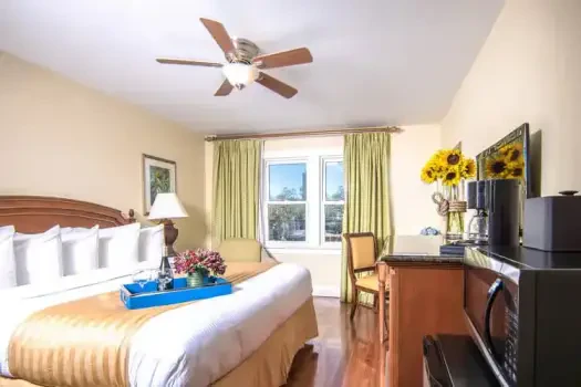 Hollander Hotel St Petersburg Downtown Florida