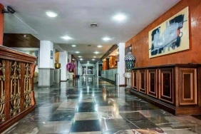 Fenix Guadalajara