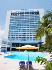 The Jamaica Pegasus