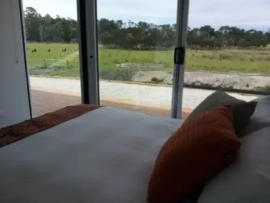 Pelican Point Sanctuary