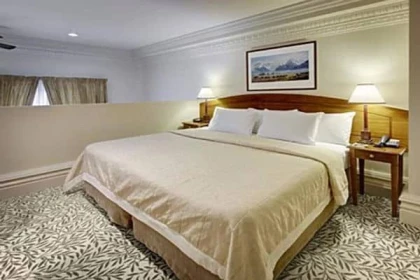 Heritage Christchurch