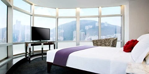 Butterfly on Morrison Boutique Hotel main