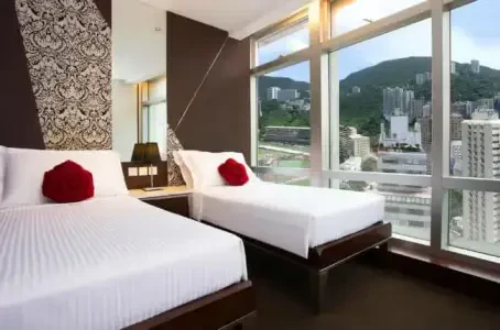 Butterfly on Morrison