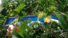 Villa 3 Monkeys - Hotel Gay