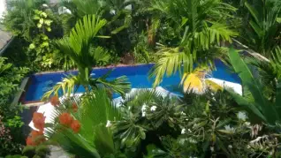 3 Monkeys Villa - Gay Hotel