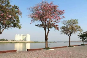 Harmony Phnom Penh Hotel