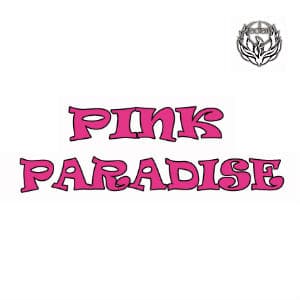 Pink Paradise at Senatore, Munich - gay dance party - TravelGay - Travel Gay