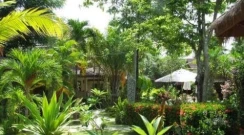 Palm Garden Resort