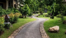 Nora Samui