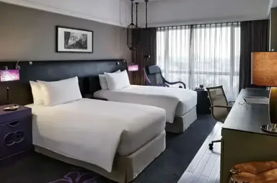 소피텔 사이공 플라자