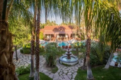 Colony Palms