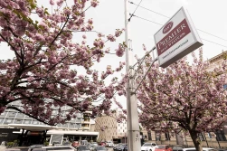 Best Western Premier Hotel Internacional