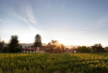 Napa Valley Lodge