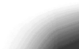 Cosmopolitan Bologna