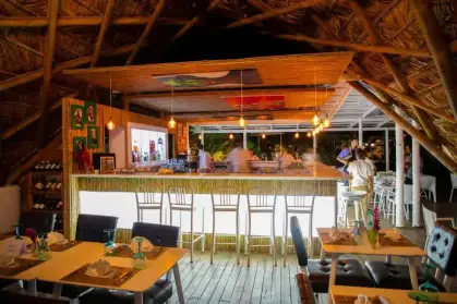 Le Cameleon Puerto Viejo