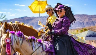 Borrego Days Desert Festival