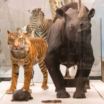 Culture Up Late: Another View