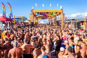 Mr Brighton Bear 2021