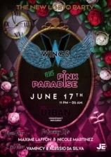 WINGS ZRH flies PINK PARADISE