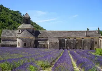 France France