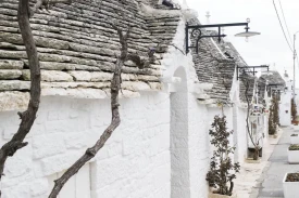 Yoga Retreat in Puglia Gay Group Trip