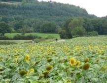 Gay Group Trip: Colours Of Burgundy Biking Tour